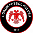 Corum Belediyespor U19 队徽